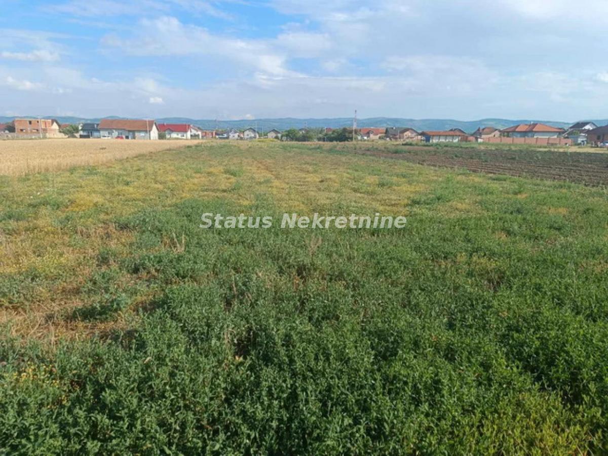 Plac Prodaja Novi Sad Plac Prodaja Novi Sad 0 m2