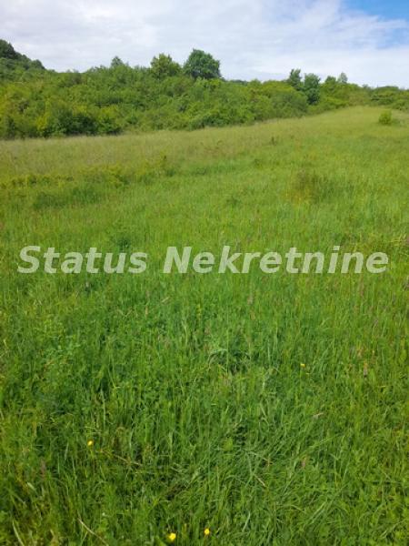 Plac Prodaja Vrdnik  0 m2