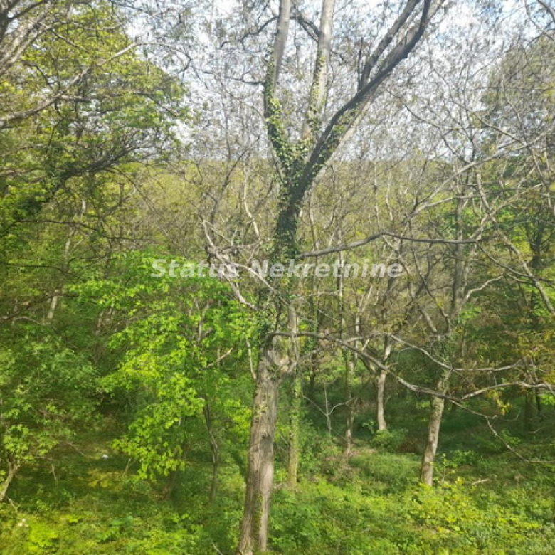 Plac Prodaja Irig  0 m2