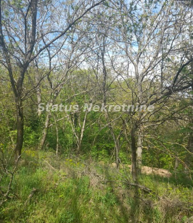 Plac Prodaja Irig  0 m2