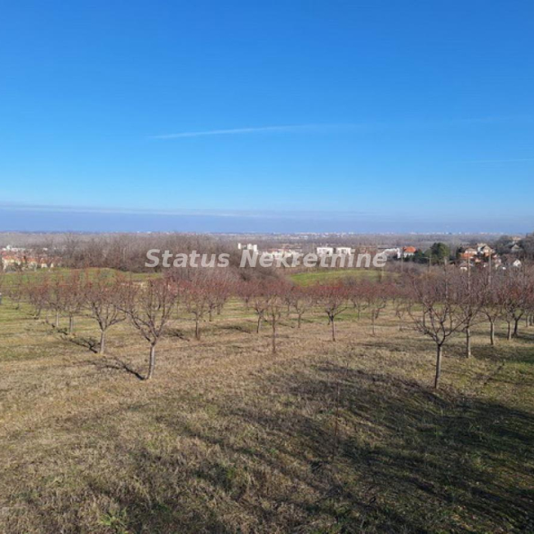 Plac Prodaja Beočin  0 m2