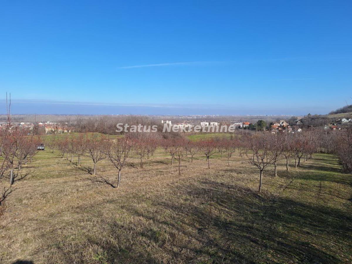 Plac Prodaja Beočin Plac Prodaja Beočin 0 m2