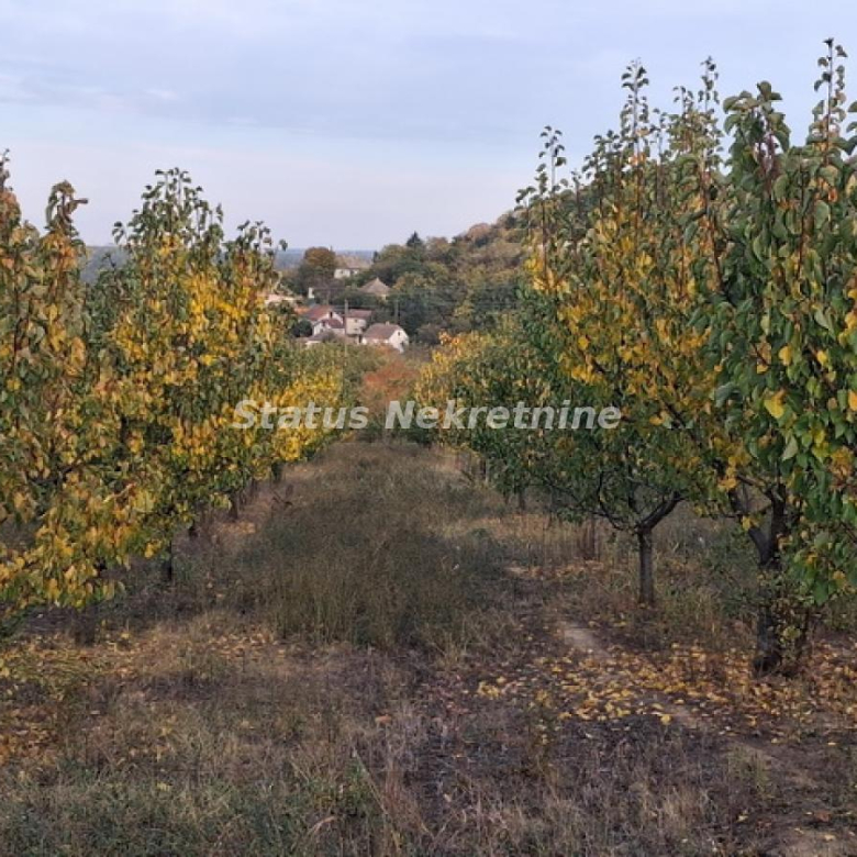 Plac Prodaja Beočin  0 m2