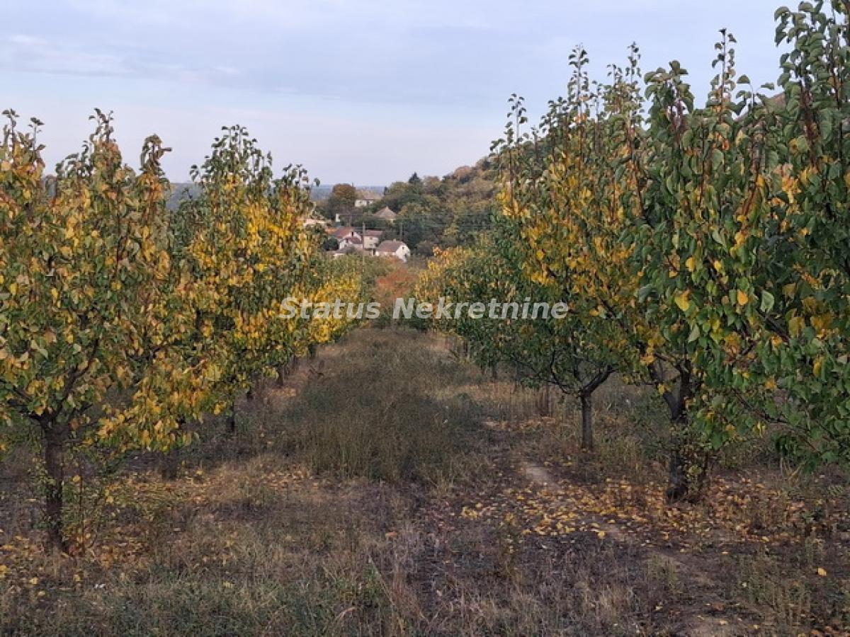 Plac Prodaja Beočin Plac Prodaja Beočin 0 m2