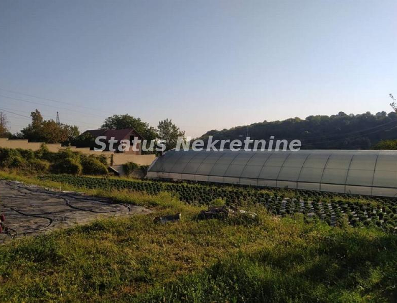 Plac Prodaja Novi Sad  0 m2