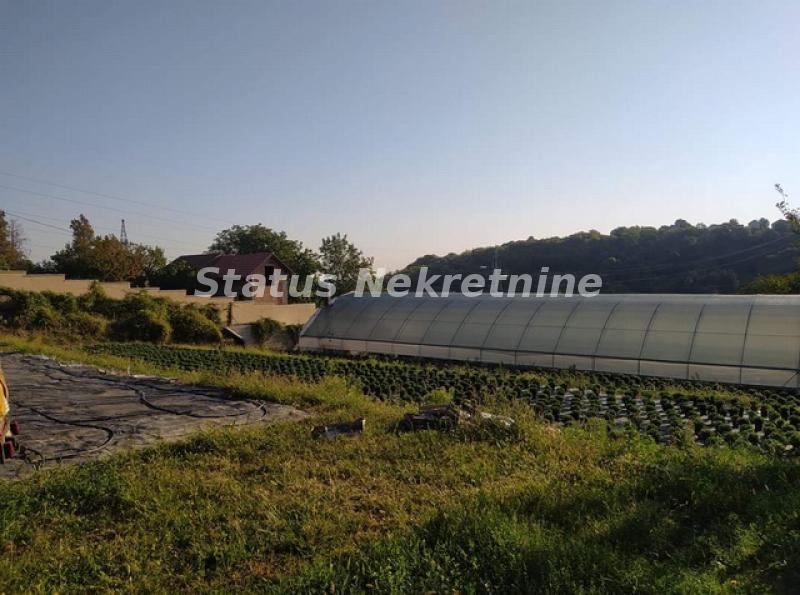 Plac Prodaja Novi Sad  0 m2
