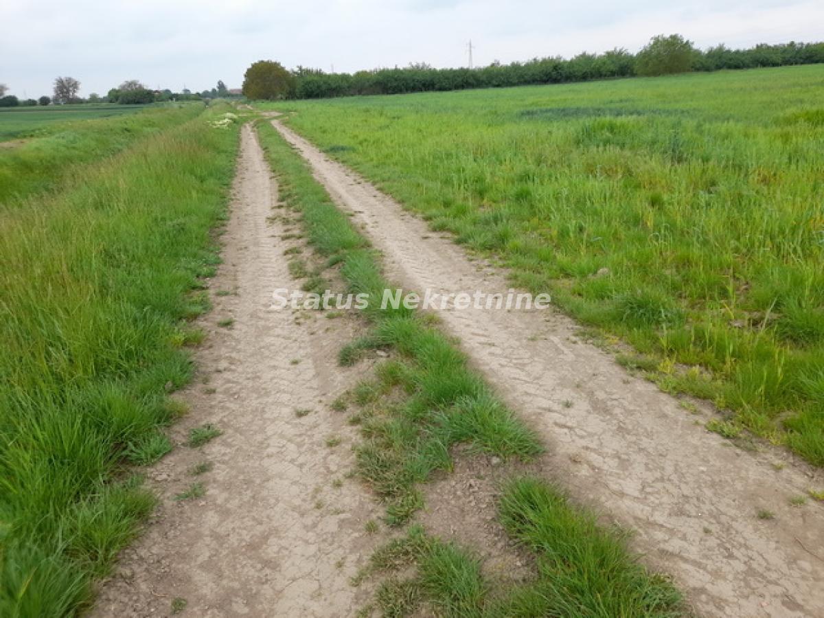 Plac Prodaja Novi Sad Plac Prodaja Novi Sad 0 m2
