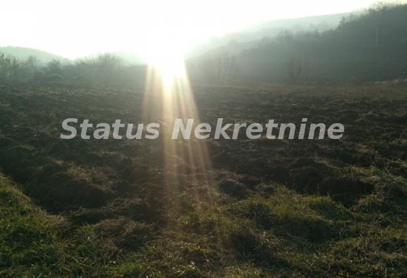 Plac Prodaja Sremski Karlovci  0 m2