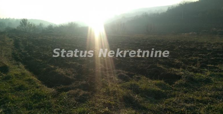 Plac – Sremski Karlovci,   – ID 16229.