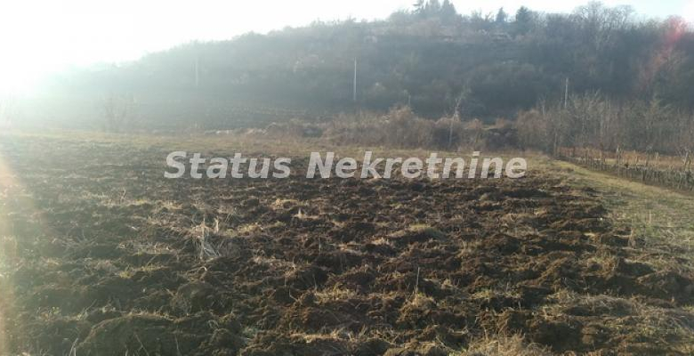 Plac Prodaja Sremski Karlovci  0 m2