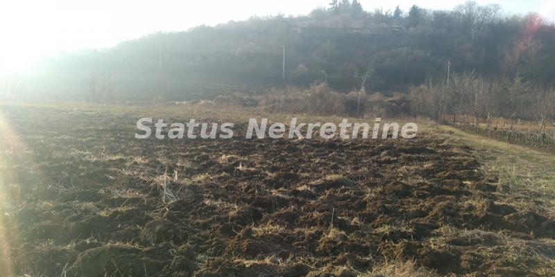 Plac Prodaja Sremski Karlovci  0 m2