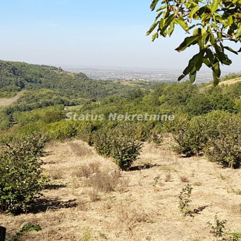 Plac Prodaja Novi Sad  0 m2
