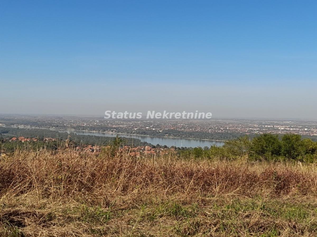 Plac Prodaja Novi Sad  0 m2
