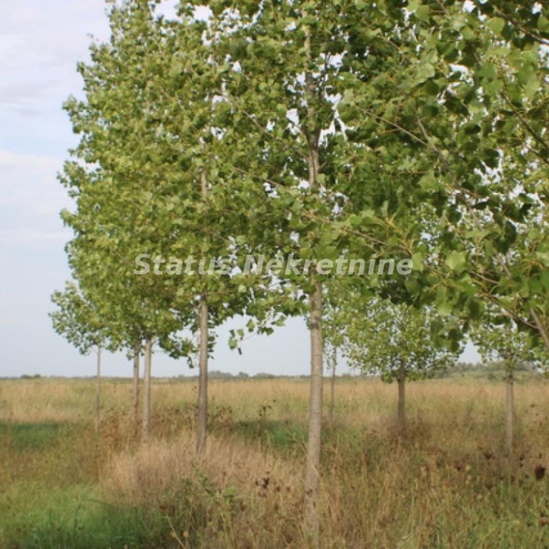 Plac Prodaja Zrenjanin  0 m2