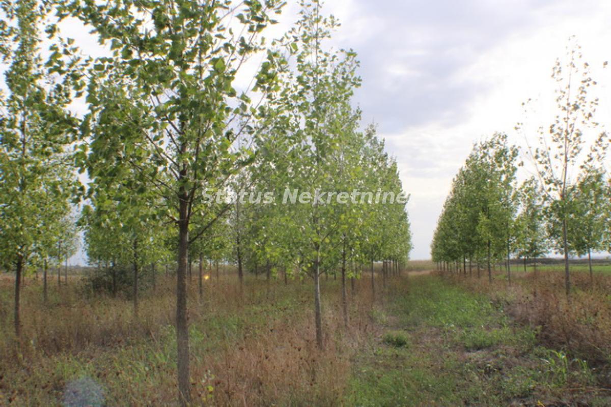 Plac Prodaja Zrenjanin Plac Prodaja Zrenjanin 0 m2