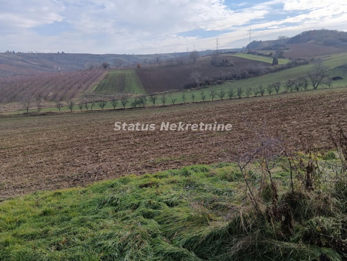 Plac Prodaja Sremski Karlovci Plac Prodaja Sremski Karlovci 0 m2