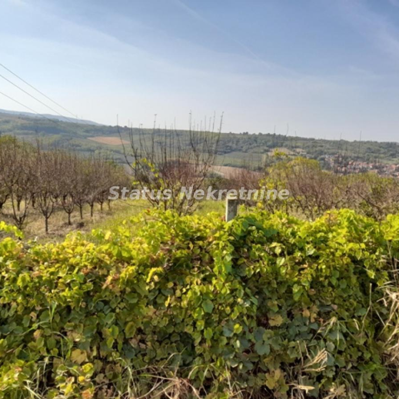 Plac Prodaja Sremski Karlovci  0 m2