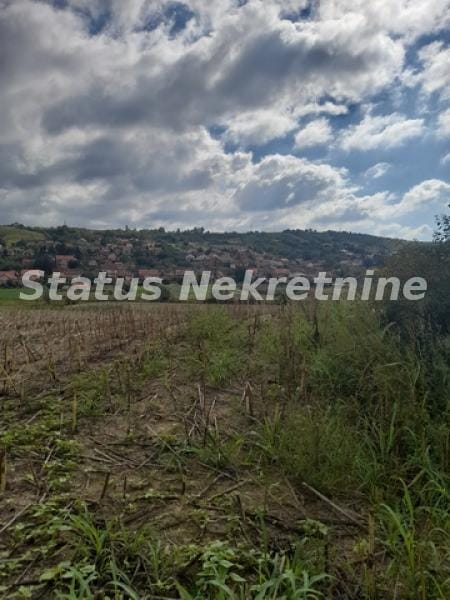 Plac Prodaja Novi Sad  0 m2