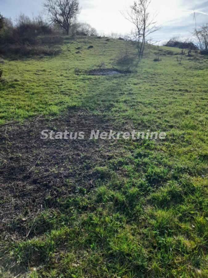 Plac Prodaja Novi Sad  0 m2