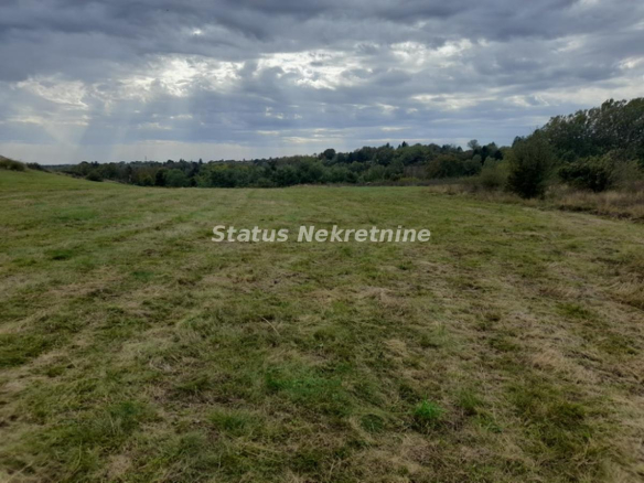 Plac Prodaja Irig  0 m2