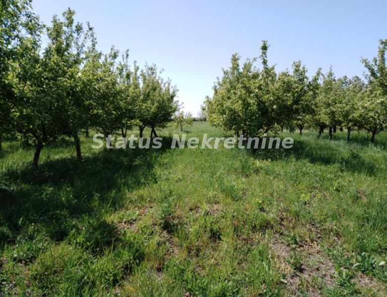 Plac – Novi Sad, Petrovaradin  – ID 15736.