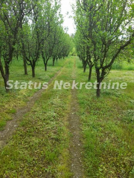 Plac Prodaja Vrdnik  0 m2