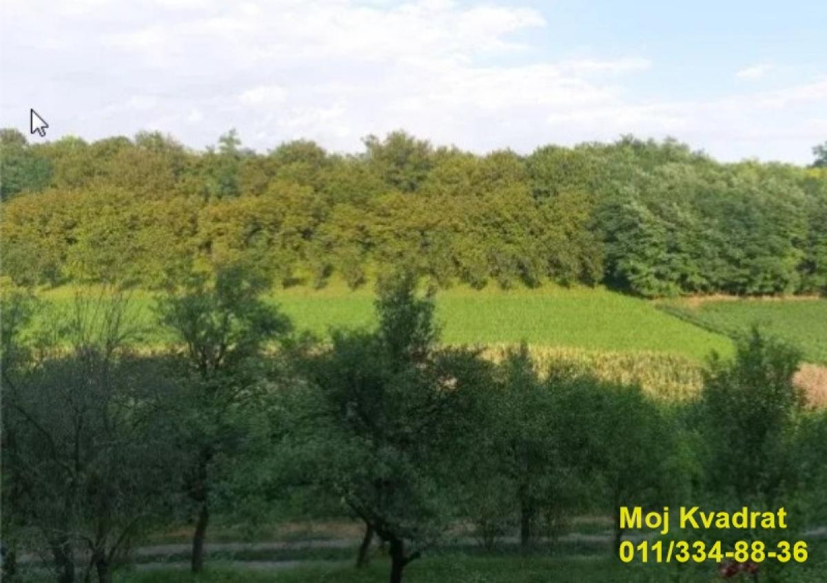 Plac Prodaja Šid Plac Prodaja Šid Erdevik 0 m2