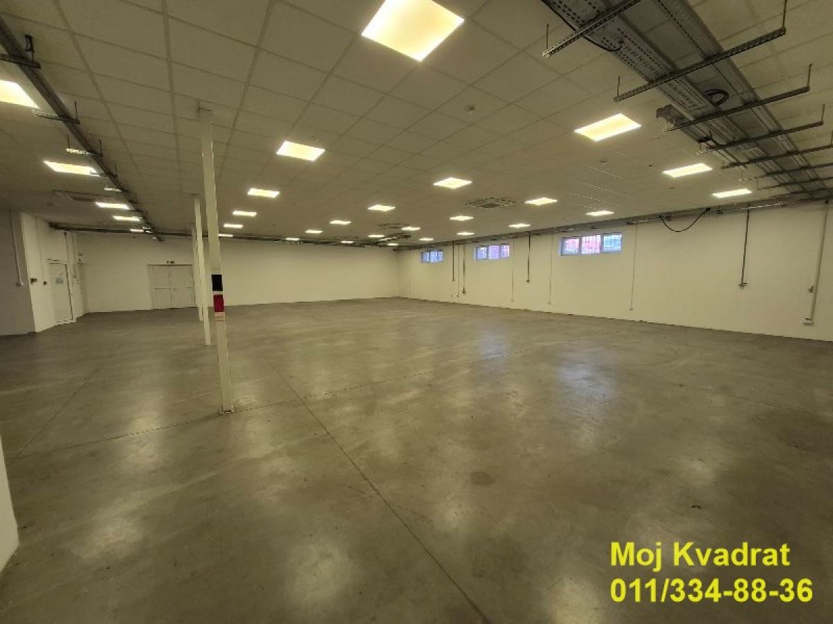 Lokal Izdavanje Beograd Altina 652 m2