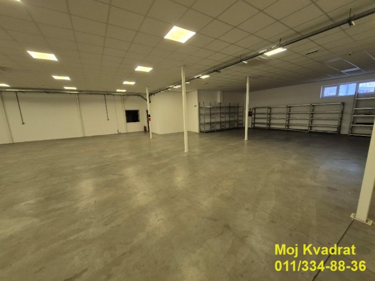 Lokal Izdavanje Beograd Altina 652 m2