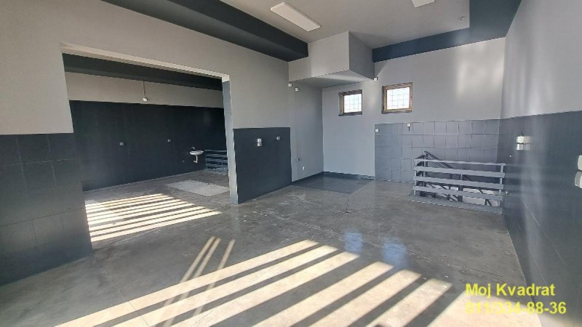 Lokal Izdavanje Pančevo  1212 m2