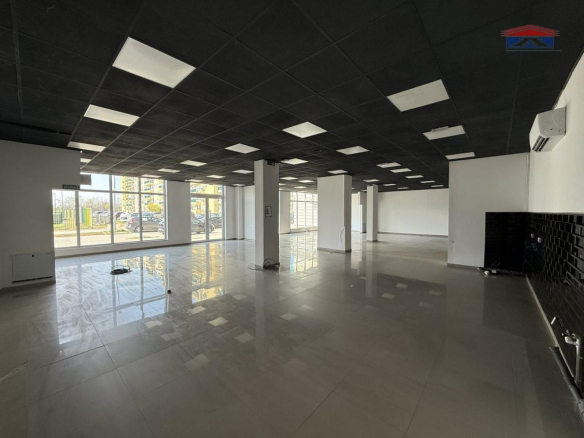 Lokal Izdavanje Novi Sad  310 m2