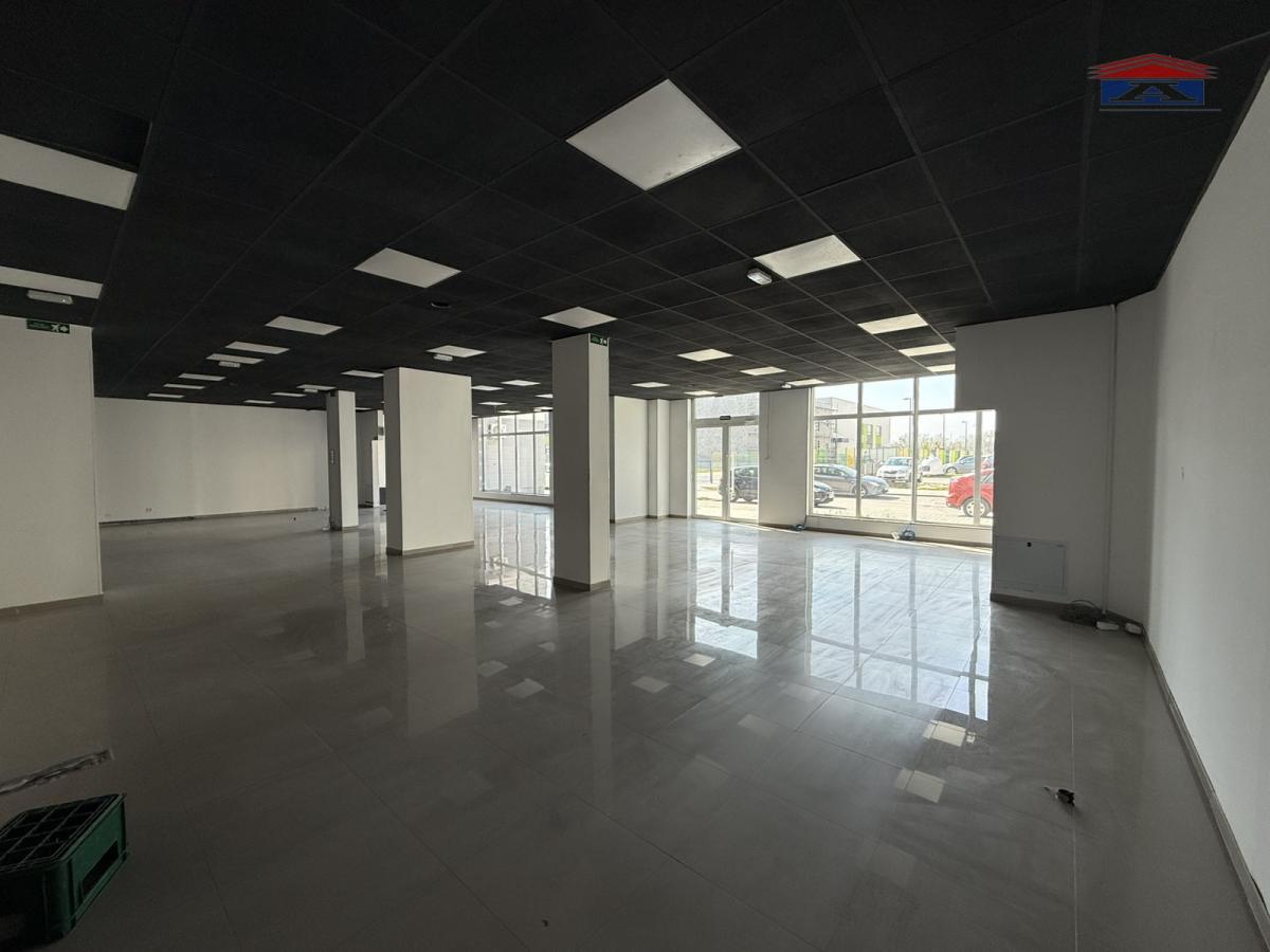 Lokal Izdavanje Novi Sad  310 m2