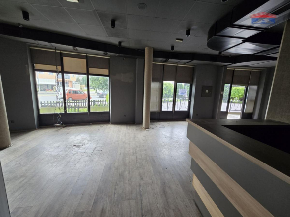 Lokal Izdavanje Novi Sad  246 m2