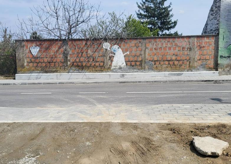 Plac – Sremski Karlovci, Širi Centar (Sremski Karlovci) – ID 1110.