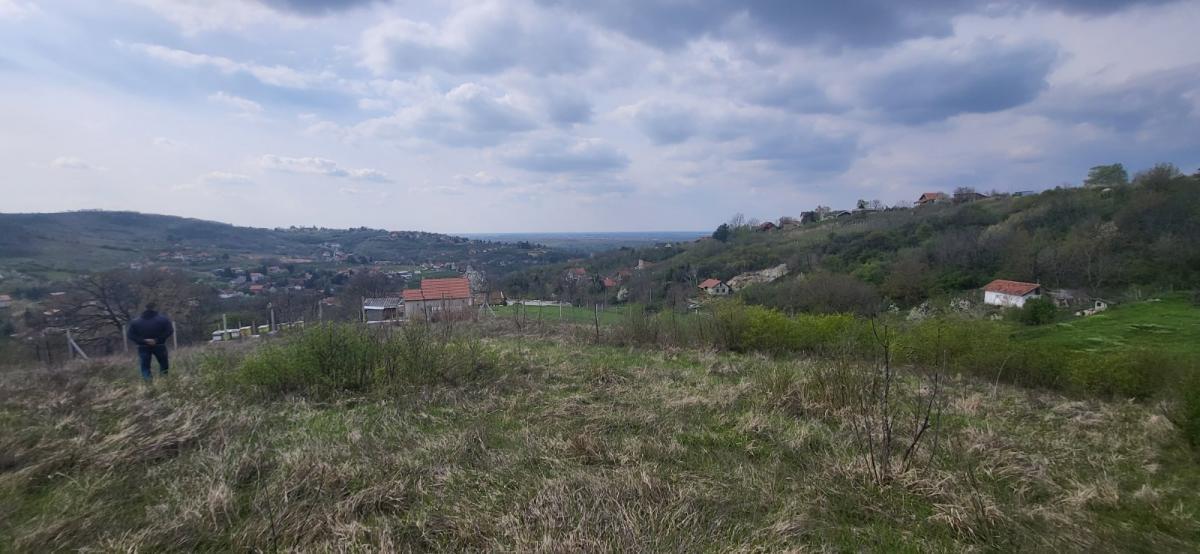 Plac Prodaja Beočin Plac Prodaja Beočin 2881 m2