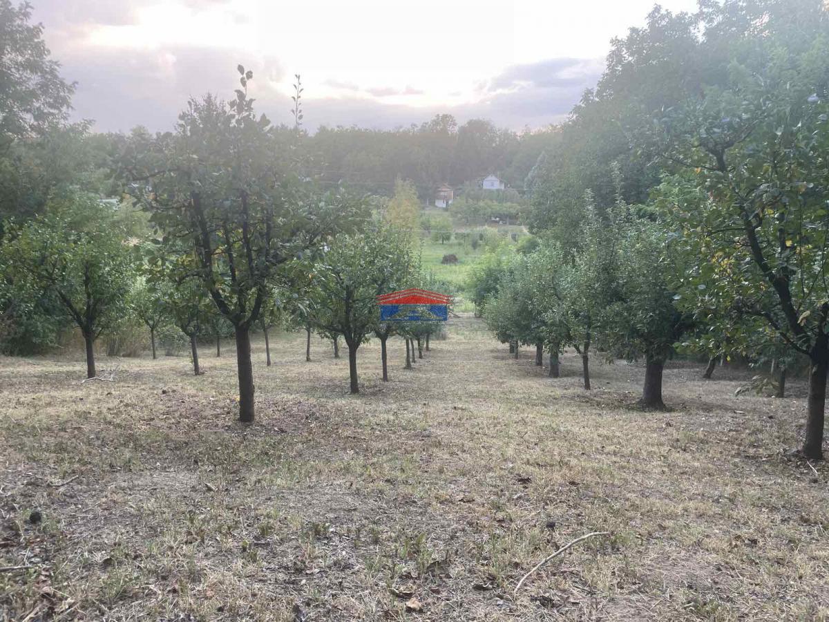 Plac Prodaja Inđija Plac Prodaja Inđija 1409 m2