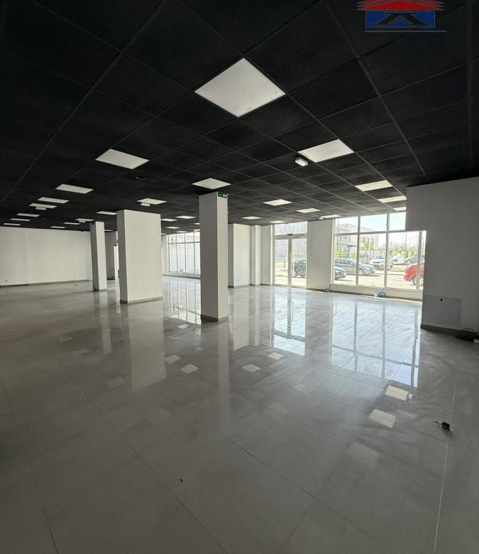 Lokal Izdavanje Novi Sad  310 m2
