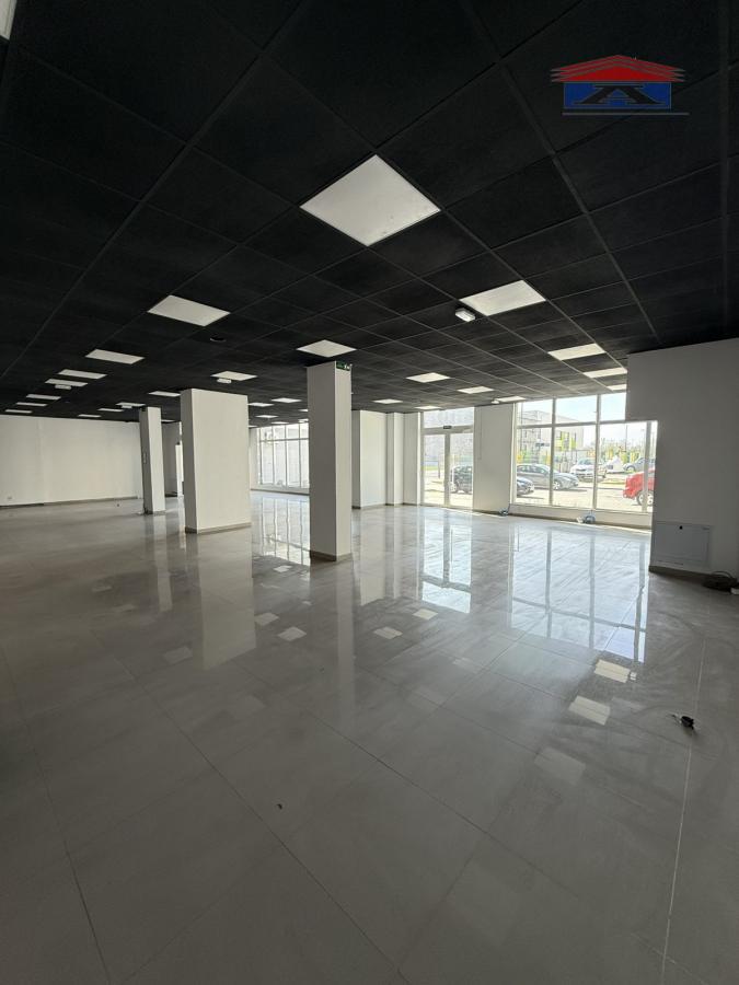 Lokal Izdavanje Novi Sad  310 m2