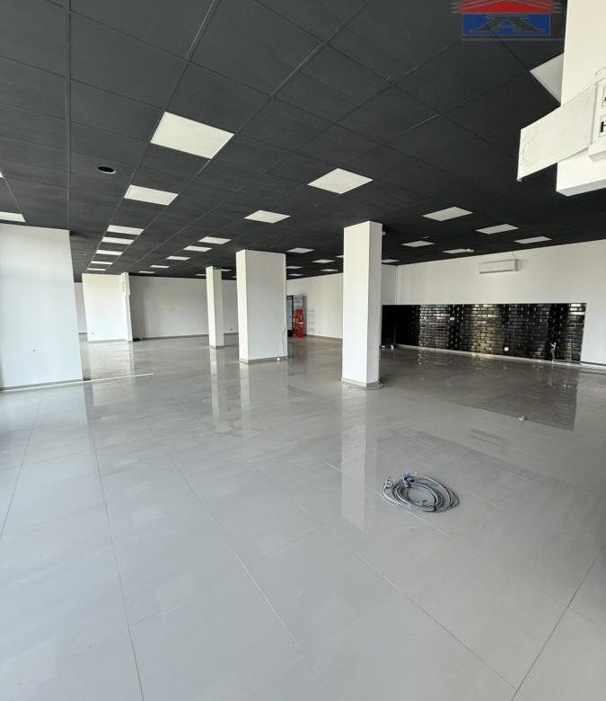Lokal Izdavanje Novi Sad  310 m2