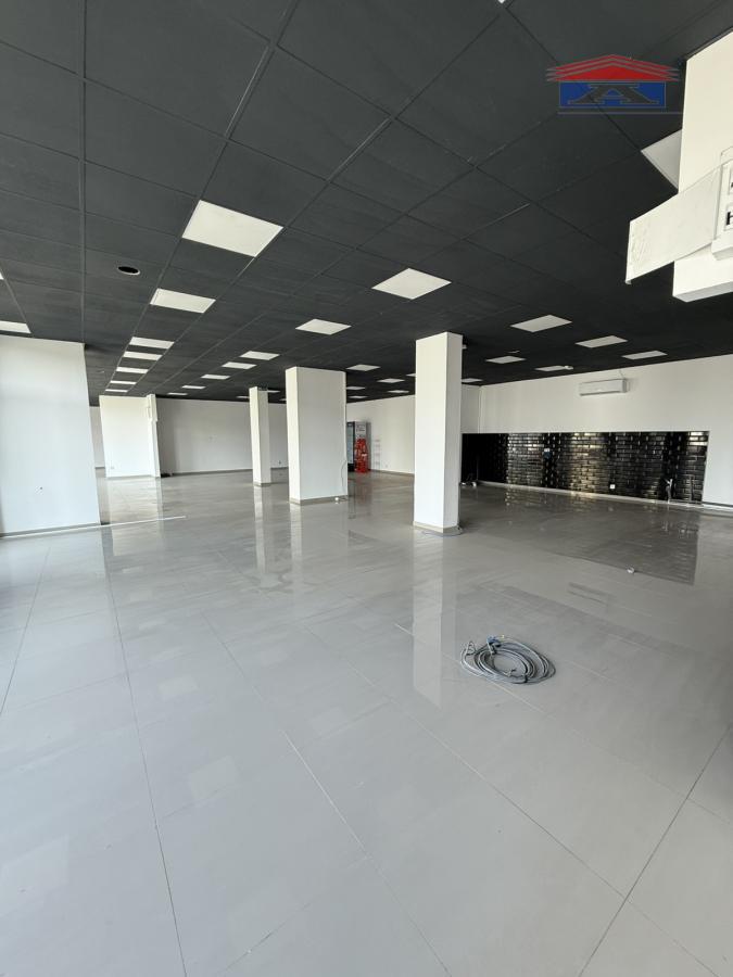 Lokal Izdavanje Novi Sad  310 m2