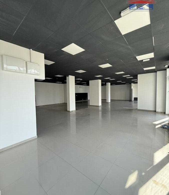 Lokal Izdavanje Novi Sad  310 m2