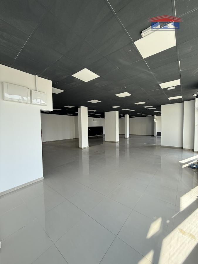 Lokal Izdavanje Novi Sad  310 m2