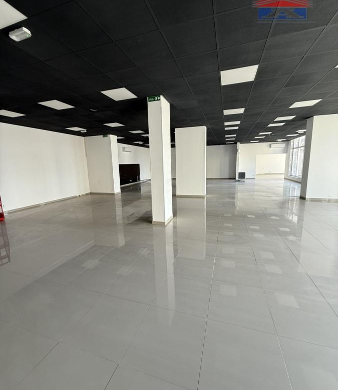 Lokal Izdavanje Novi Sad  310 m2