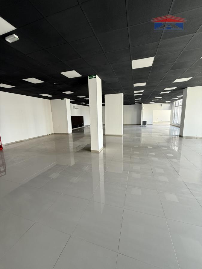 Lokal Izdavanje Novi Sad  310 m2