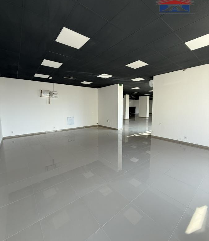 Lokal Izdavanje Novi Sad  310 m2
