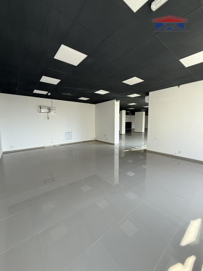 Lokal Izdavanje Novi Sad  310 m2