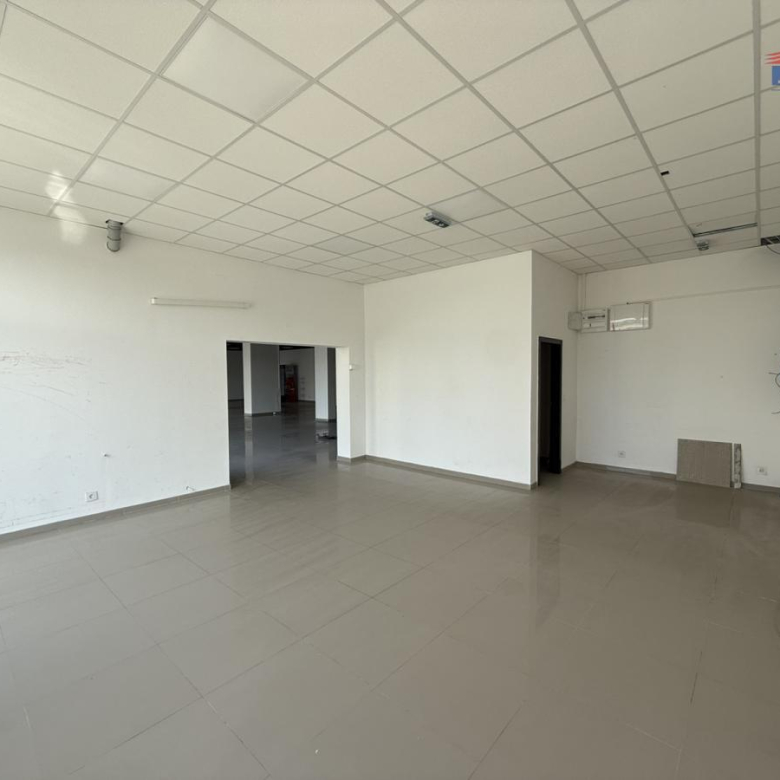 Lokal Izdavanje Novi Sad  310 m2