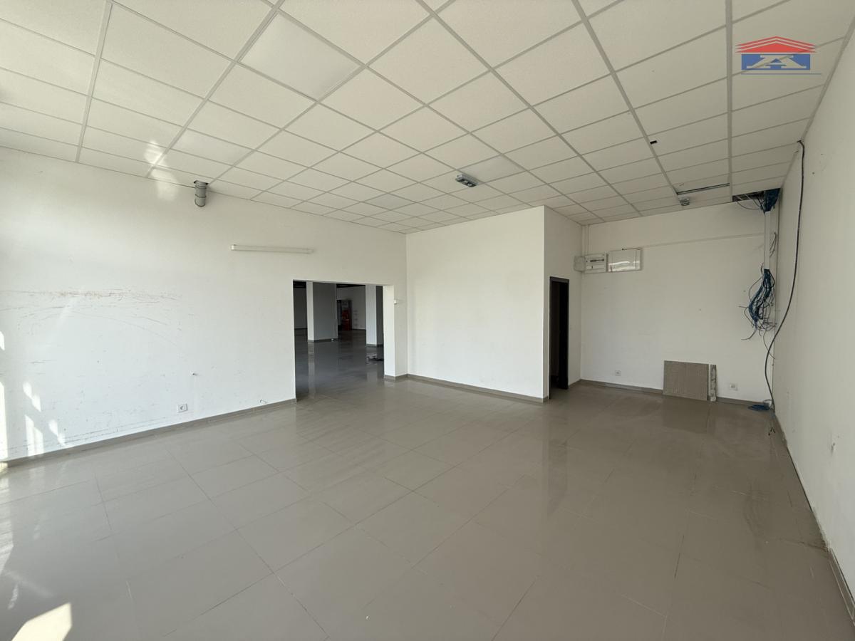 Lokal Izdavanje Novi Sad  310 m2