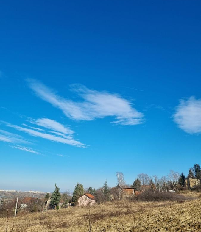Plac Prodaja Novi Sad  0 m2