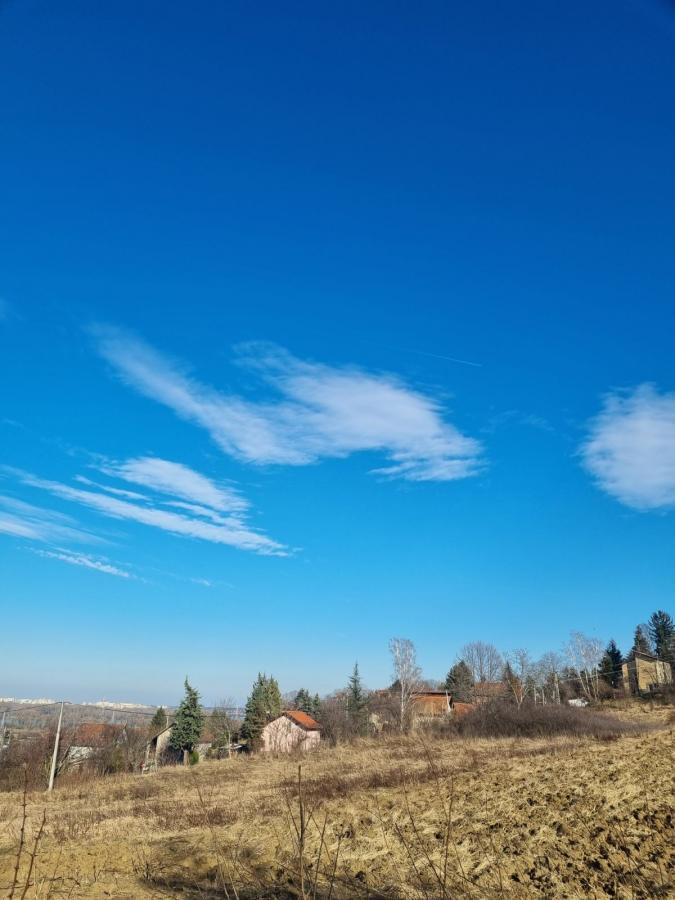 Plac Prodaja Novi Sad Plac Prodaja Novi Sad 0 m2